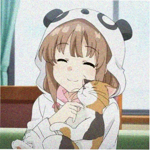 掌中之物小说 女性配角 头像
